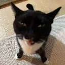 guh