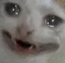 paincry paincry
