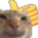 Epok_cat Discord Emoji