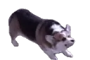 omgplzsomeoneendmeidontwannalive