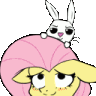 furrybunni Discord Emoji