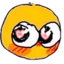 timida
