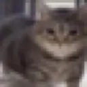 yesnt