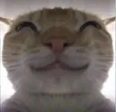 KITTYEHE