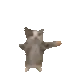 happycat