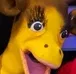 WTF