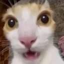 huh
