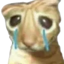 CrY