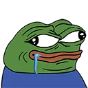 Pepe Dumb PepeDumb Discord Emoji