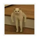 endermancat Discord Emoji