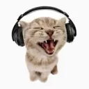 CatWithHeadphonesYell