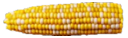 corn Discord emoji