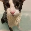 soaked soaked