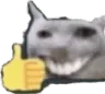 catsmileythumbsup