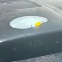 Ducc
