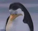 Pain