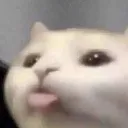 nekoemoji_14
