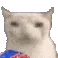 CatGoofyEat