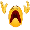 y_nein