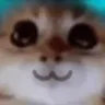 kit_YAY kit_YAY