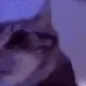 kit_losingit