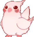 birdRave birdRave