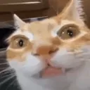 erm