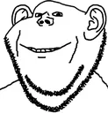 Swedejak