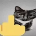 boss_cat boss_cat