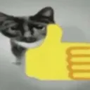 catok catok