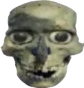 skull