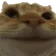 catNope catNope