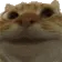 catYep