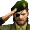 salute
