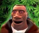 soldieronweed