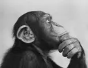 think