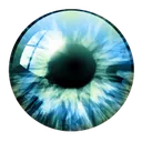 eye