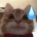 ss_catnervous