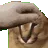 floppat floppat