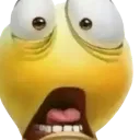 wtf