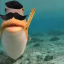 pezfrances pezfrances