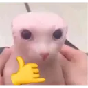 rs_catblz Discord Emoji