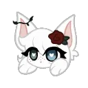 bongo