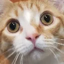 poopyhead