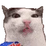 veryCrunch veryCrunch