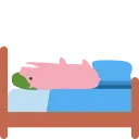 pig2_sleep_disturbed
