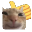 catthumb