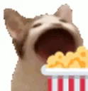 Popcorn