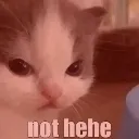 nothehe
