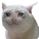 plz
